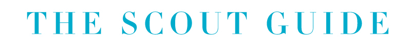The Scout Guide Logo